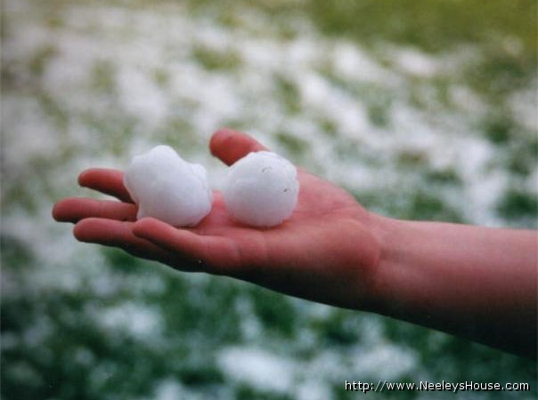 colorphoto_hail.jpg